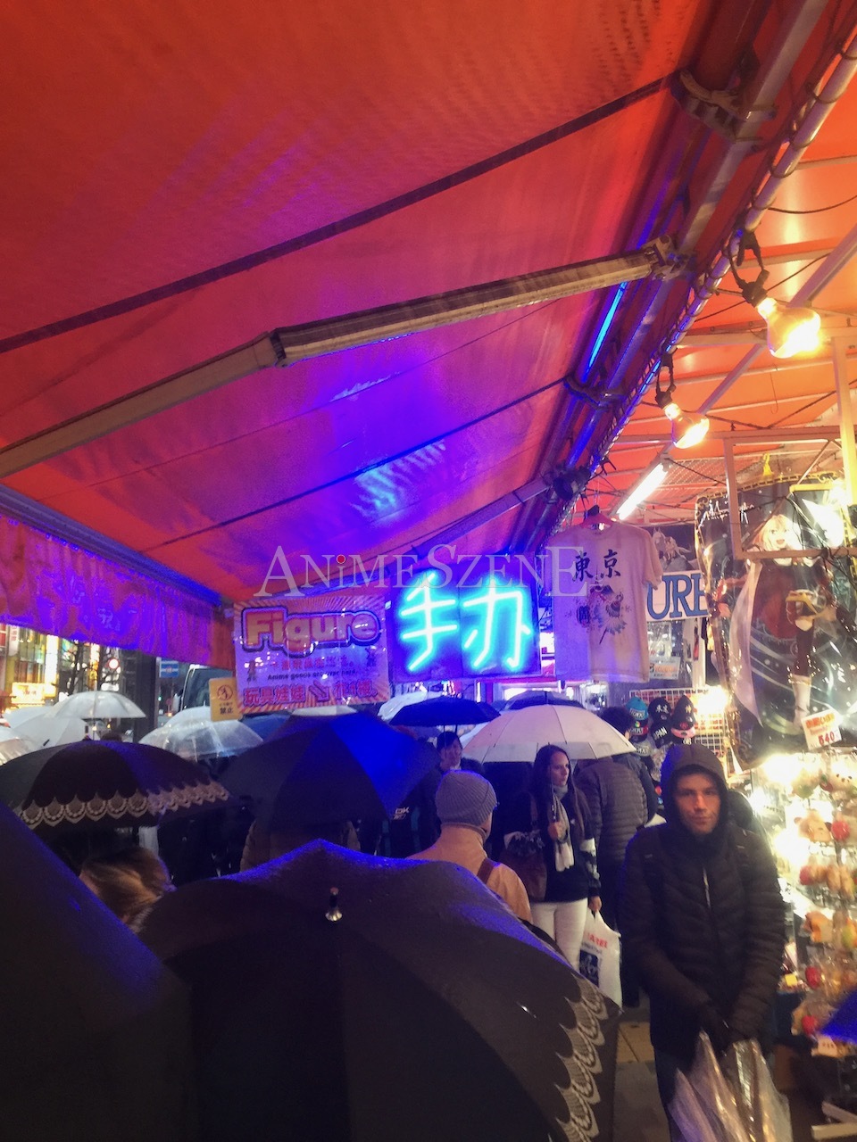 Bild aus dem Land der aufgehenden Sonne