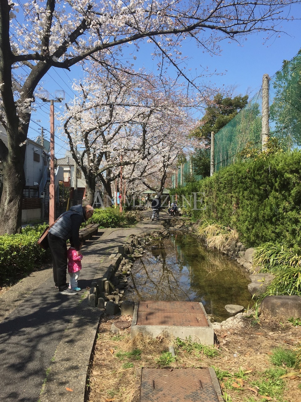 Bild aus dem Land der aufgehenden Sonne