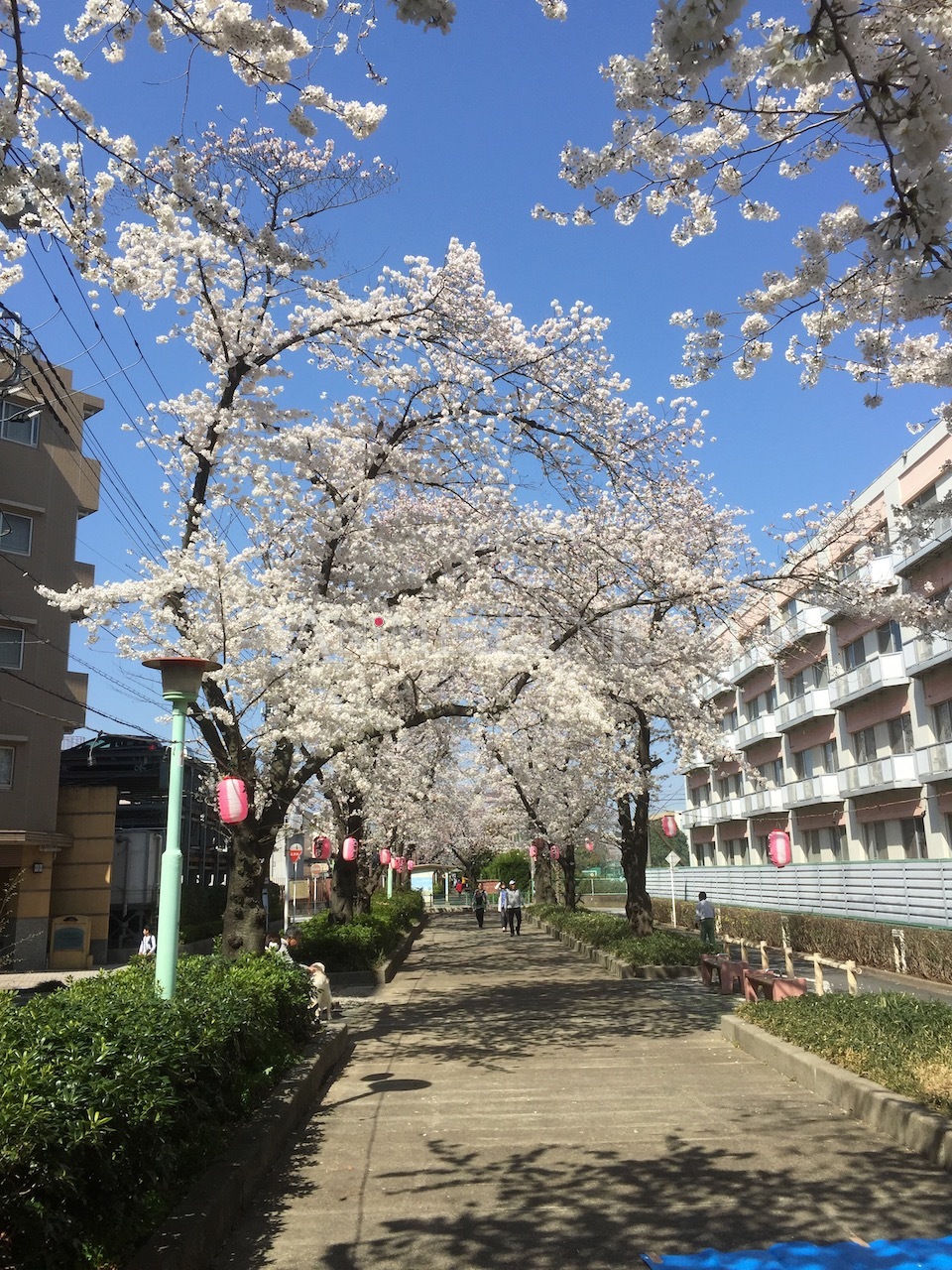 Bild aus dem Land der aufgehenden Sonne