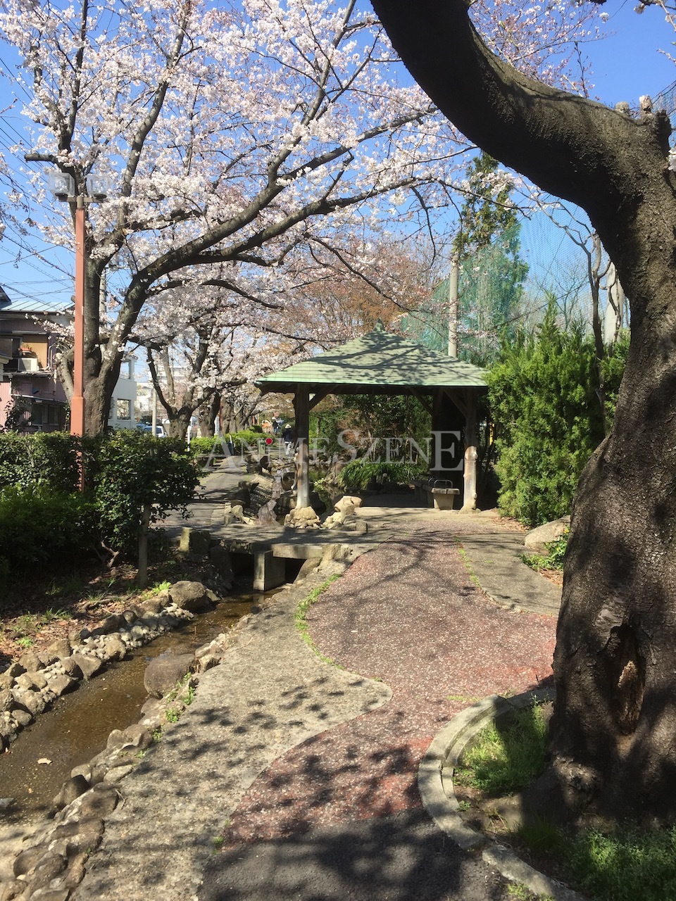 Bild aus dem Land der aufgehenden Sonne