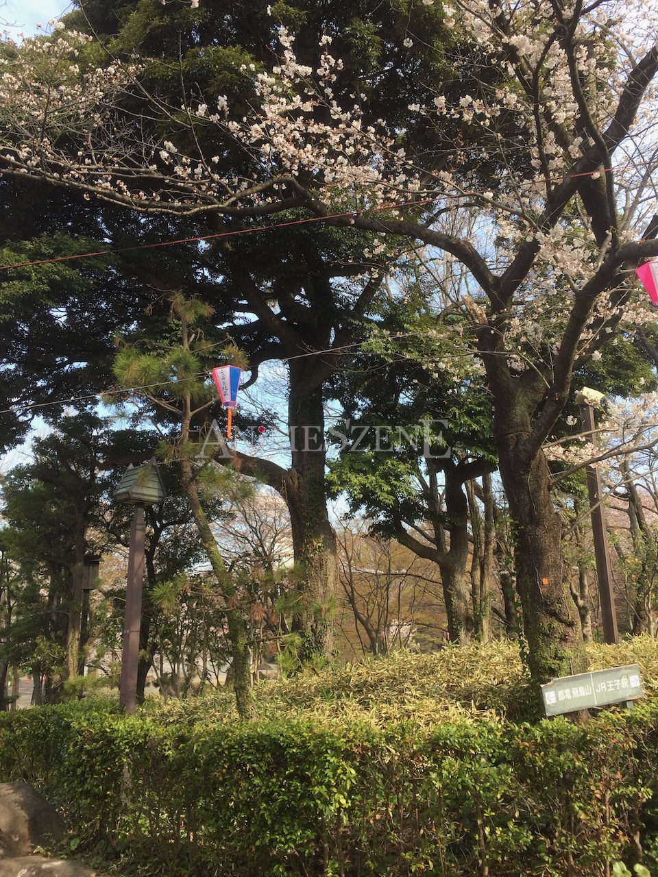 Bild aus dem Land der aufgehenden Sonne