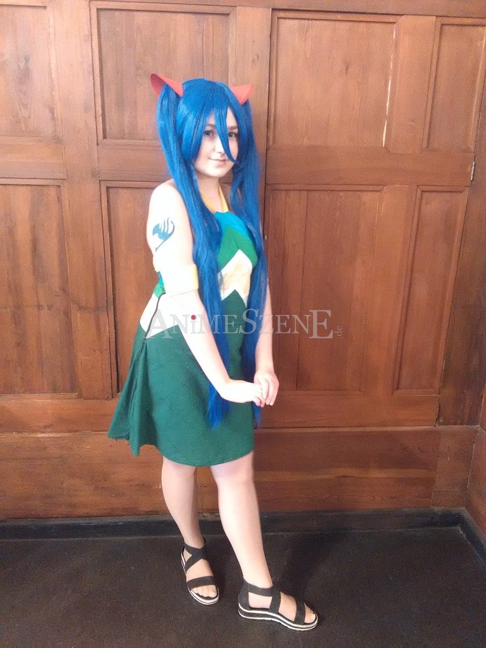 Cosplayer auf der DeDeCo