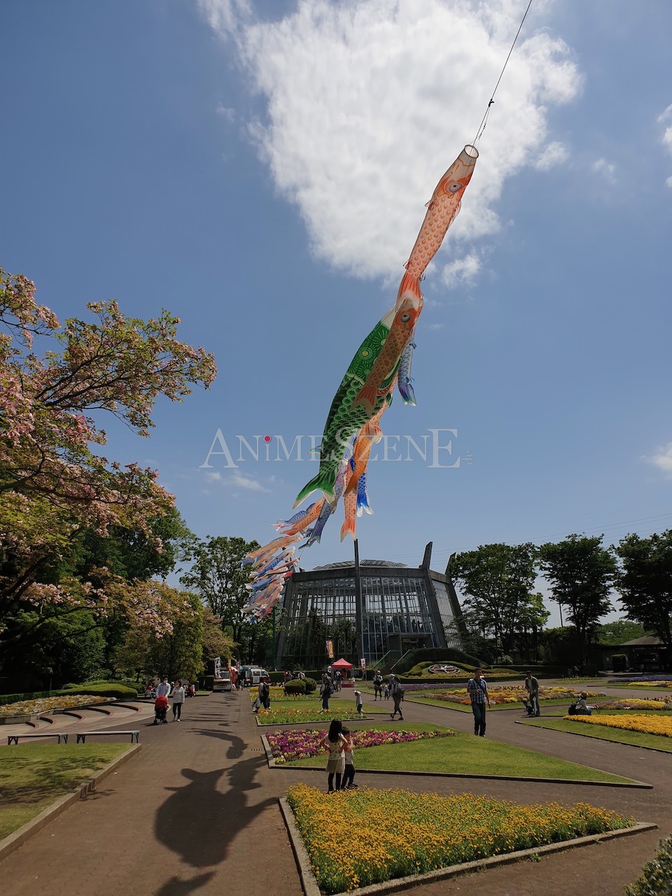 Bild aus dem Land der aufgehenden Sonne