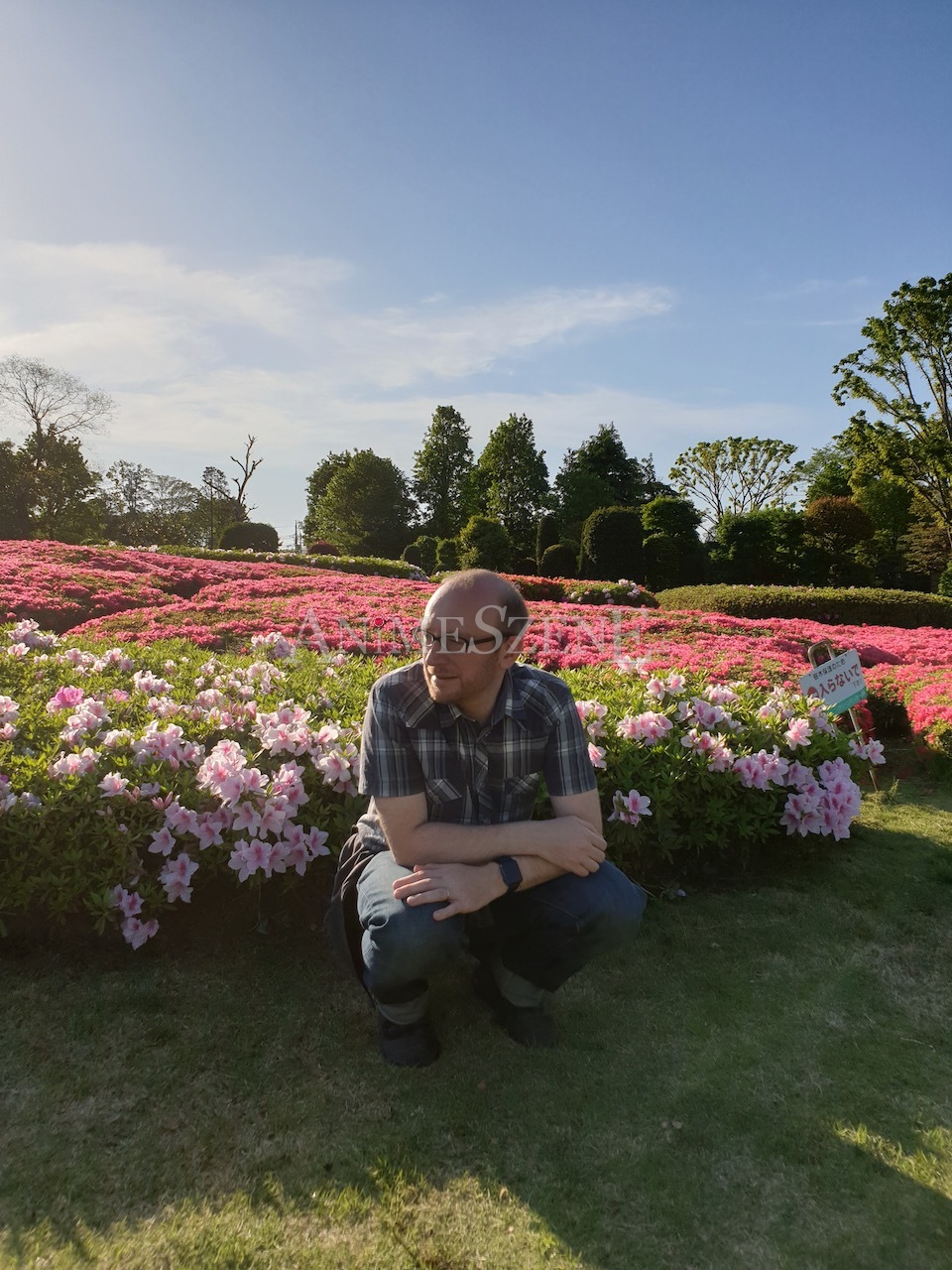 Bild aus dem Land der aufgehenden Sonne