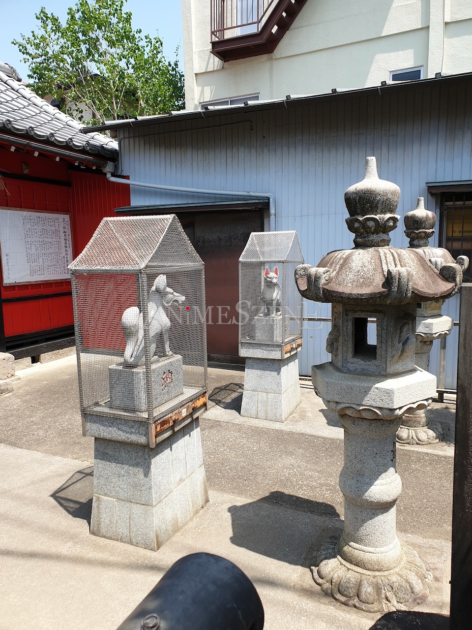 Bild aus dem Land der aufgehenden Sonne