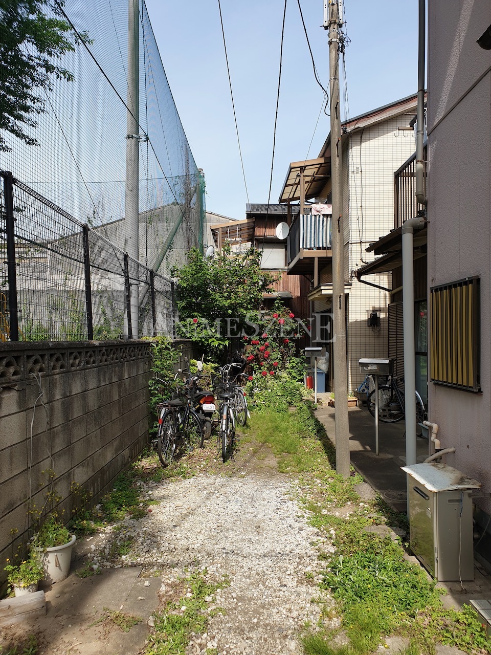 Bild aus dem Land der aufgehenden Sonne