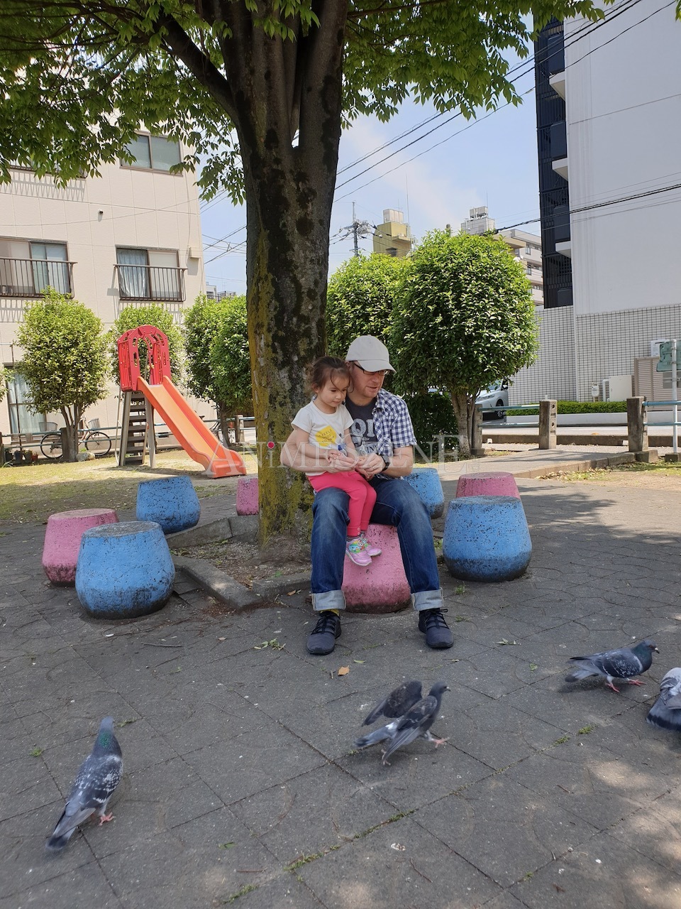 Bild aus dem Land der aufgehenden Sonne