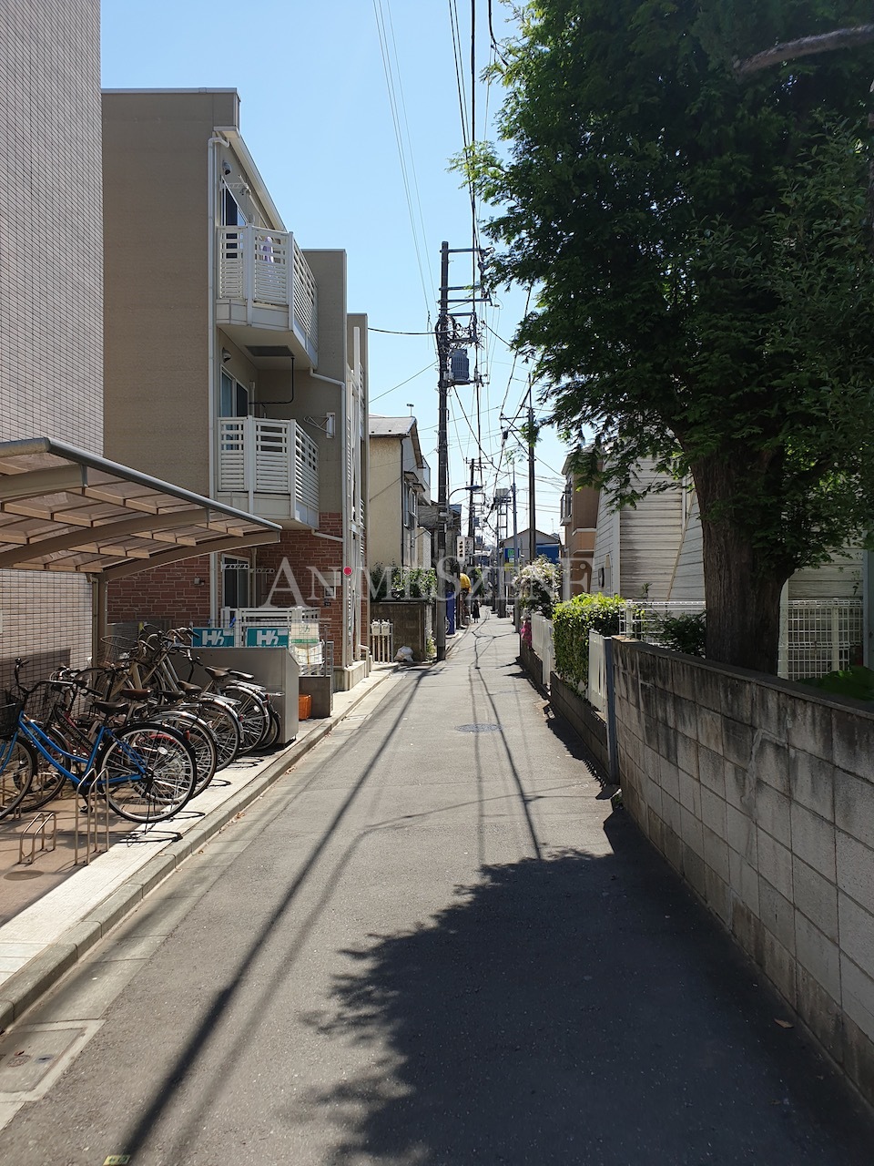 Bild aus dem Land der aufgehenden Sonne