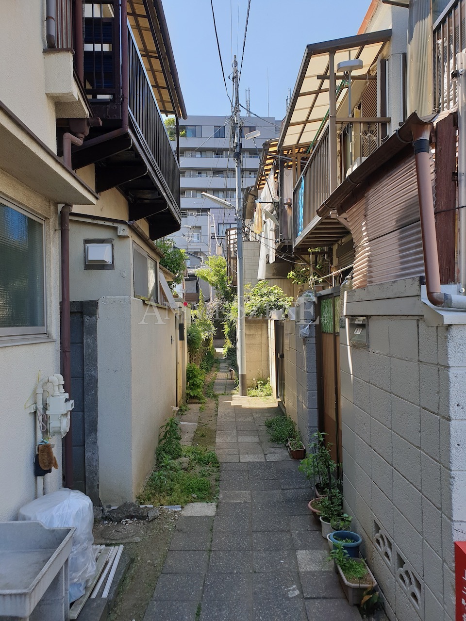 Bild aus dem Land der aufgehenden Sonne