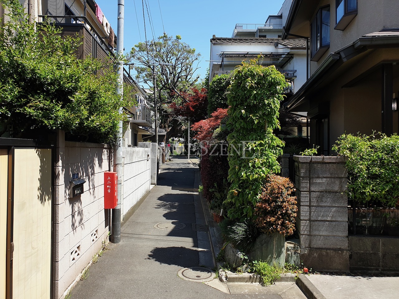 Bild aus dem Land der aufgehenden Sonne