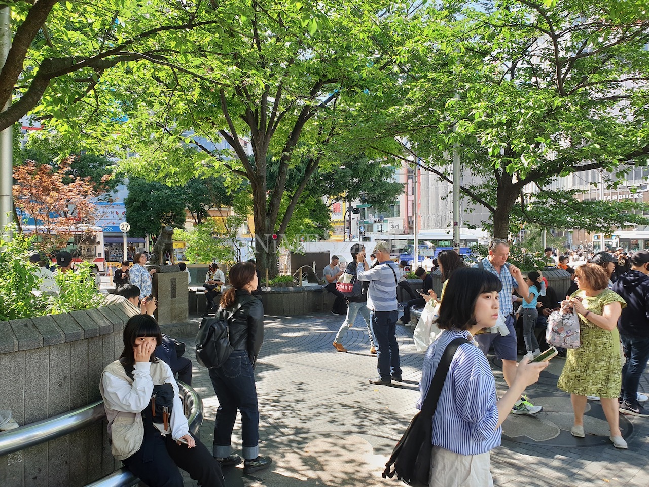 Bild aus dem Land der aufgehenden Sonne
