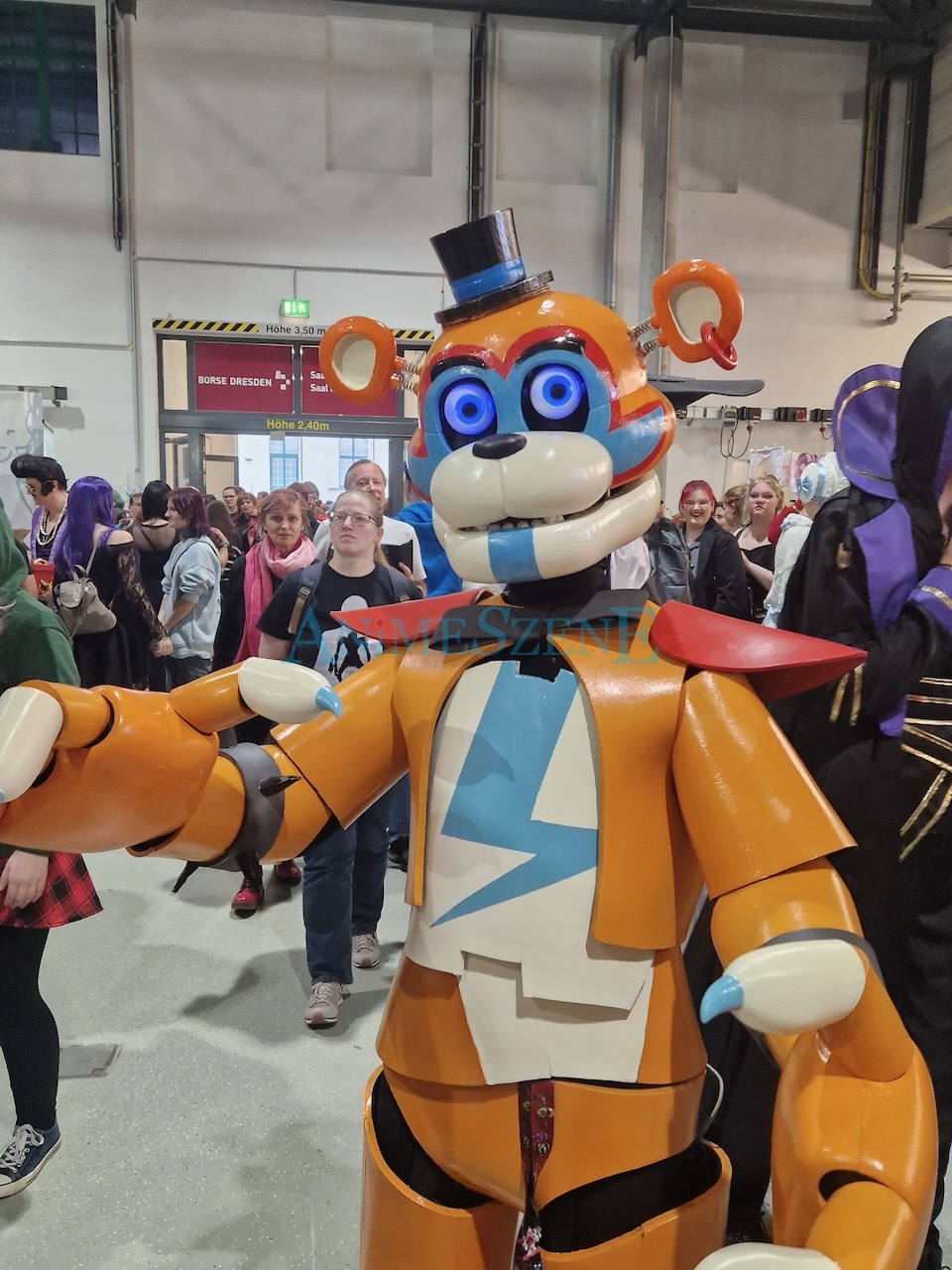 Cosplay auf der DeDeCo 2024