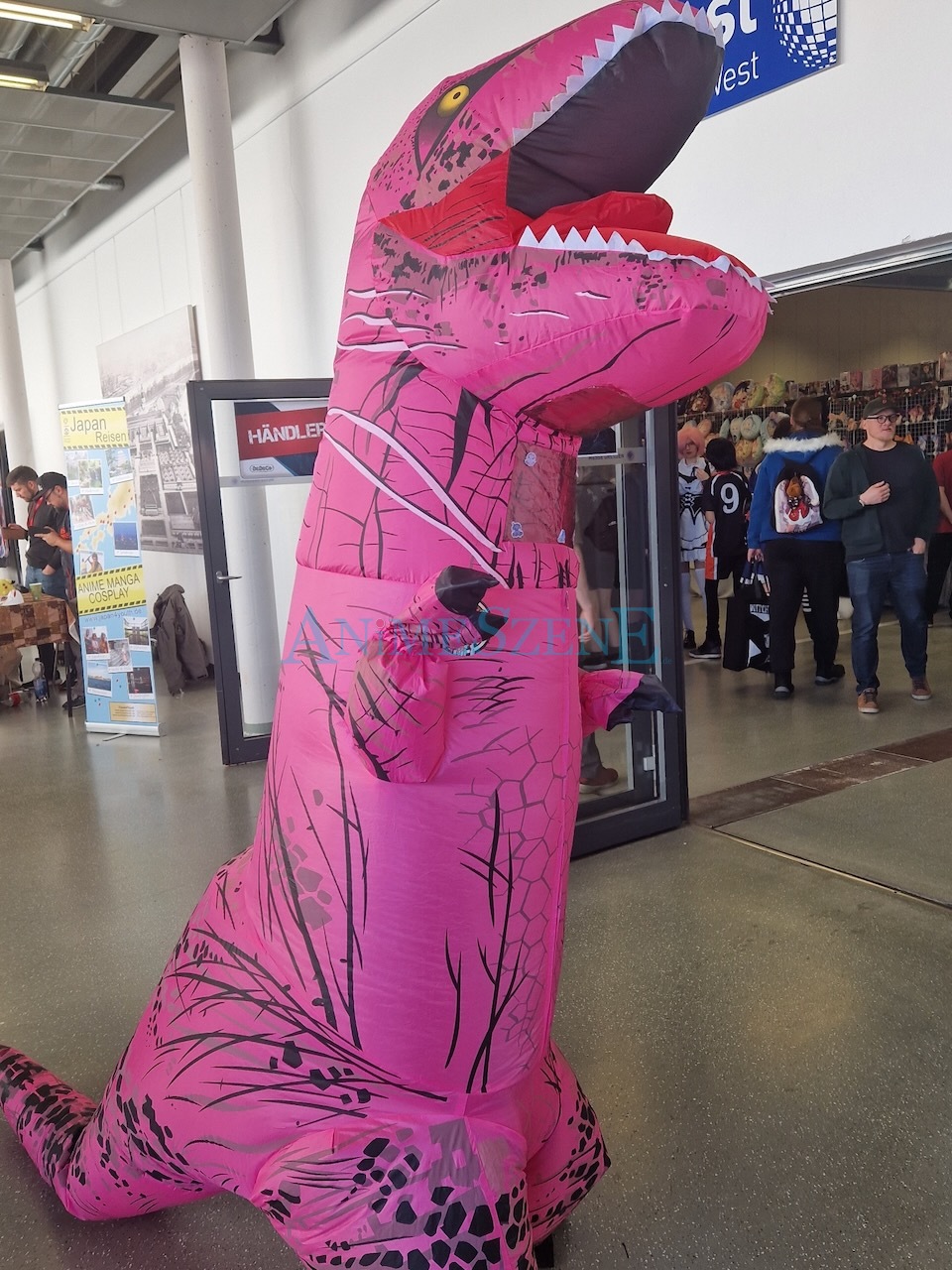 Cosplay auf der DeDeCo 2024