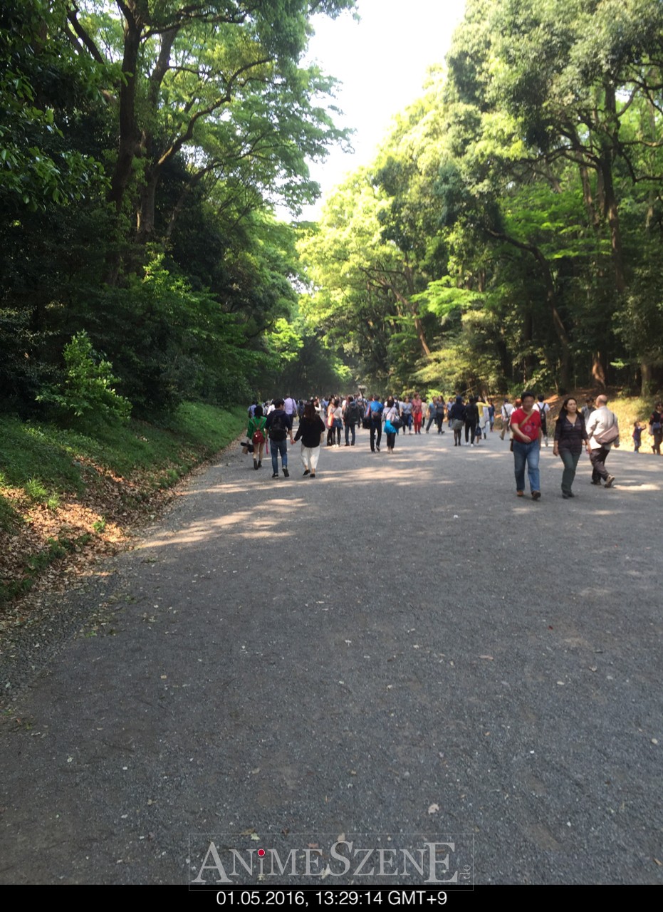 Bild aus dem Land der aufgehenden Sonne