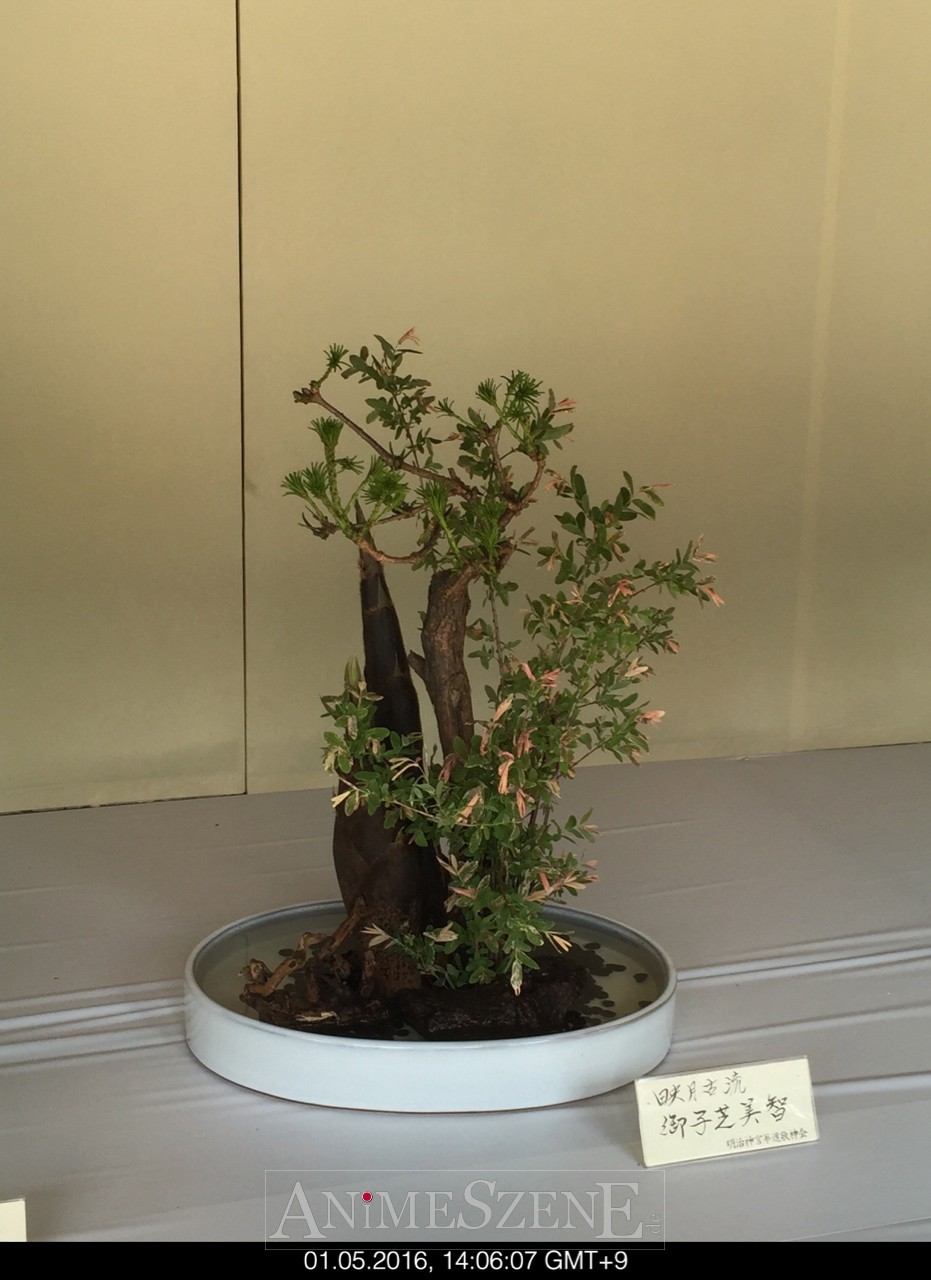 Bild aus dem Land der aufgehenden Sonne