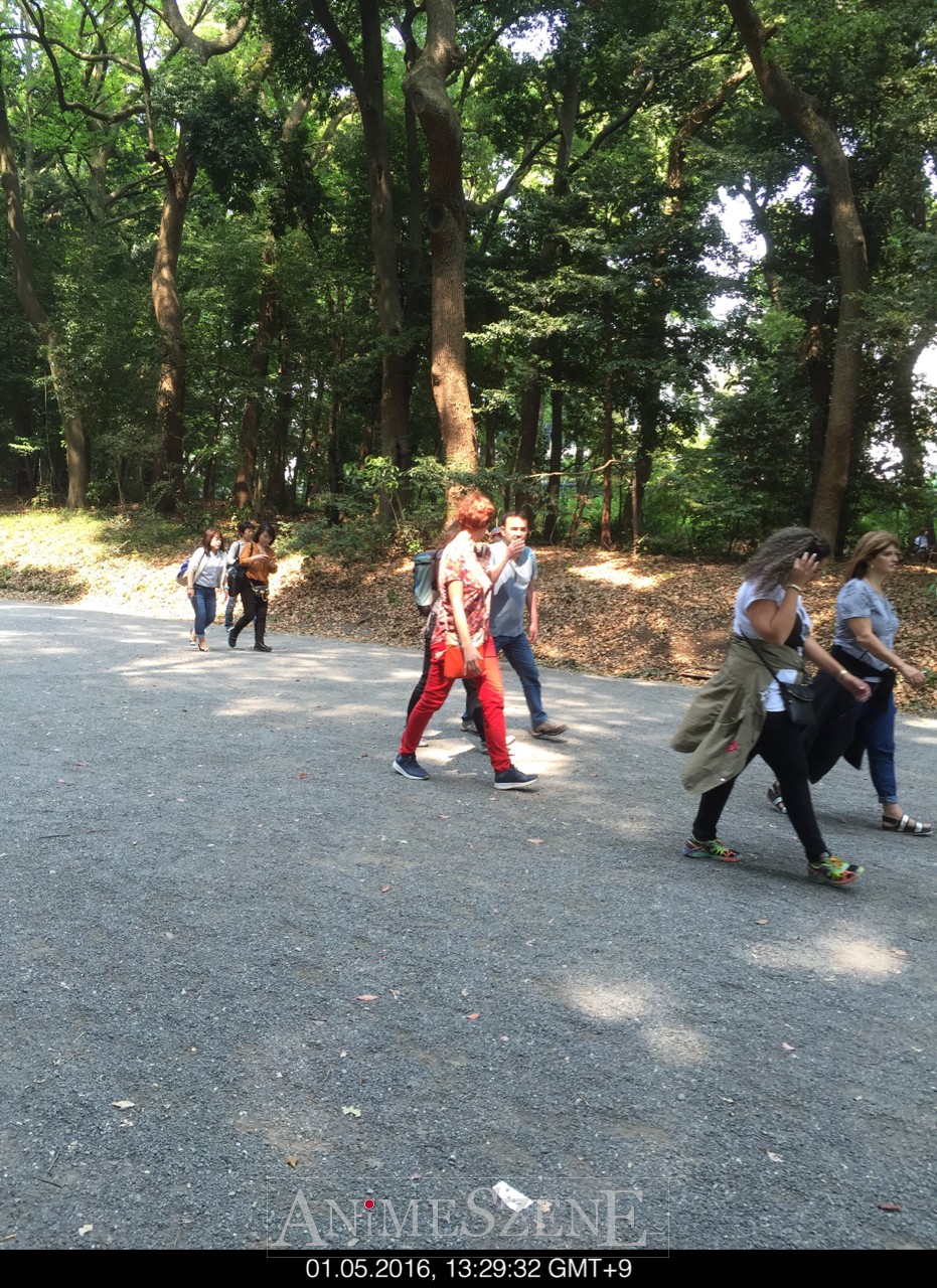 Bild aus dem Land der aufgehenden Sonne