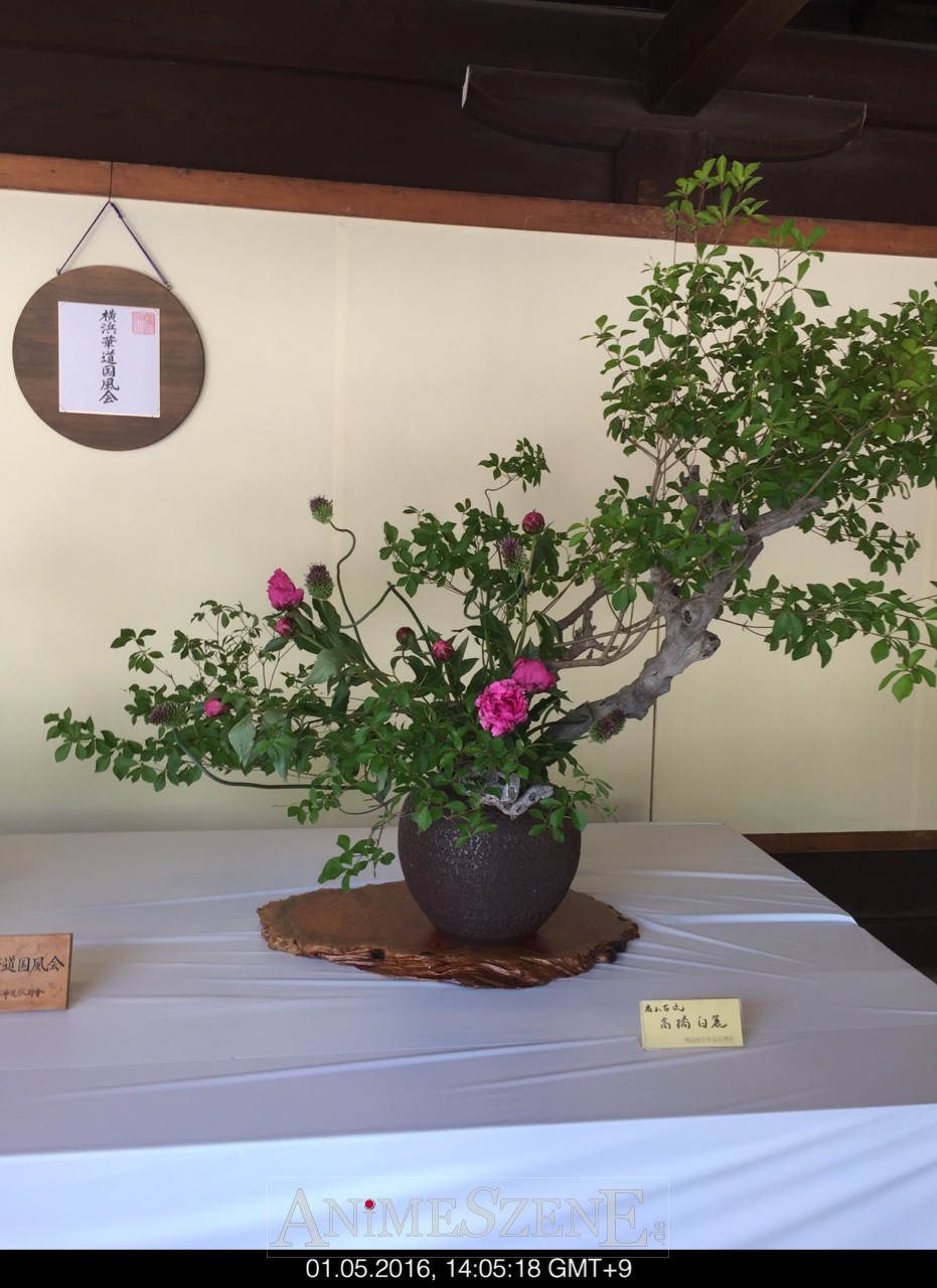 Bild aus dem Land der aufgehenden Sonne