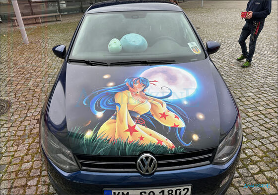 Bild vom Kundenauftrag Es wird die fertige Motorhaube gezeigt