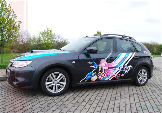 Bild vom Kundenauftrag Es wird das Auto in der Seitenansicht Fahrerseite gezeigt