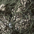 Golem, Monster auf Totenschädel